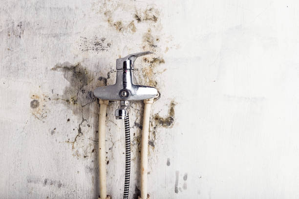 Best HVAC Mold Remediation in Stone Mountain, GA