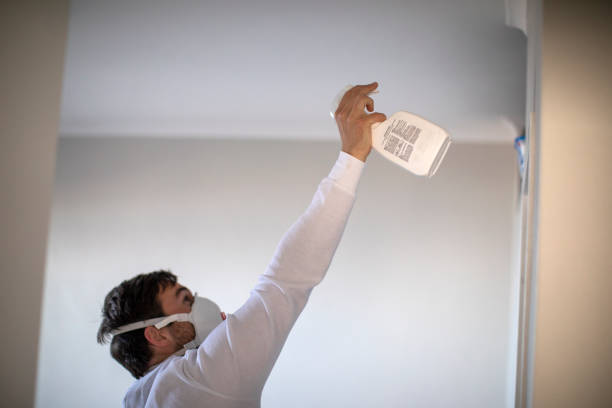 Best Post-Flood Mold Remediation in Stone Mountain, GA