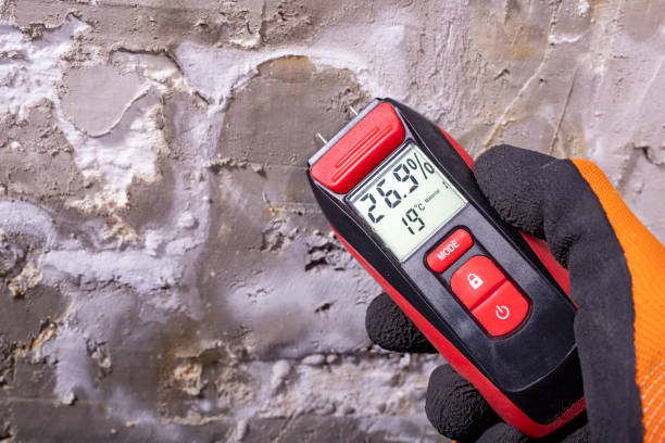 Stone Mountain, GA Mold Remediation Company