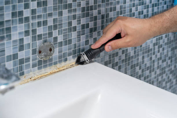 Best Black Mold Remediation in Stone Mountain, GA