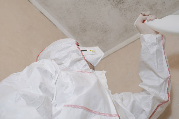 Best Mold Remediation for Specific Building Types in Stone Mountain, GA